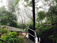 iphone_upload_pic-悉尼蓝山三姐妹峰