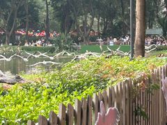-广州长隆飞鸟乐园