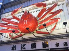 -蟹道乐(道顿堀本店)