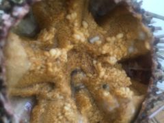 -海胆小馆(东北水饺·春柳店)