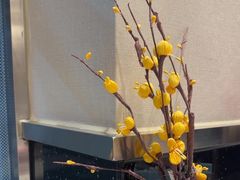 -玉林烤鸭店(小西天店)