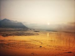 -北岐滩涂
