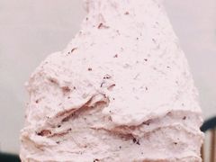 -野人先生现做冰淇淋(北京环宇荟店)