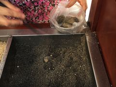 -叶氏麻糍(鼓浪屿店)