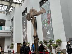 -自贡恐龙博物馆