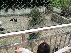 -南京金牛湖风景区