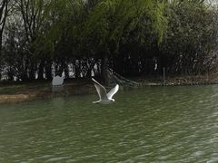 -渤公岛生态公园