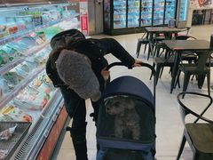 -盒马鲜生(大成店)