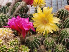 -南通洲际绿博园