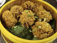 -前海沿·青岛菜(大拇指广场石老人店)