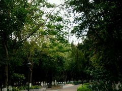 -怡海公园(桂城街道)