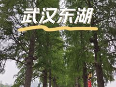 -东湖生态旅游风景区