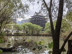 -长兴太湖图影湿地文化园