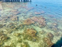 -三亚西岛海洋文化旅游区