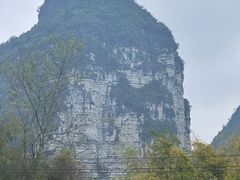 -明仕田园