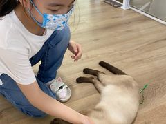 -李小姐の猫咖啡馆(五角场店)
