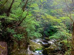 -牛背梁国家森林公园