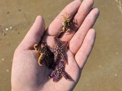 -日照灯塔风景区