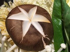 -酒井酱子·深夜食堂(东城汇店)