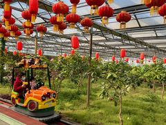 -南宫五洲植物乐园