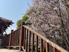 -汤山一号温泉度假区