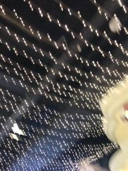 -点点梦想城(鑫苑都汇店)