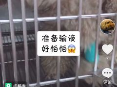 -瑞派宠物医院(锦江店)