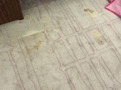 -河源万绿湖美思威尔顿酒店