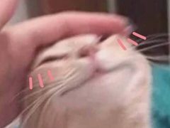 -麻麻手推拿
