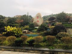 -潜山国家森林公园