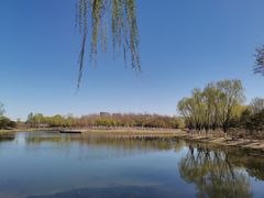 -大兴滨河森林公园