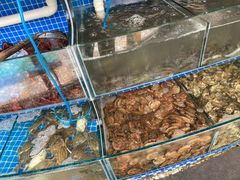 水产区-蟹谢蒸鲜自助餐厅