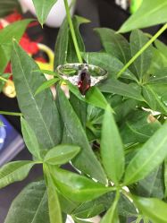 -威德钻石-克拉钻大本营(南京东路店)