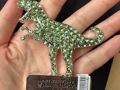 -美国自然历史博物馆