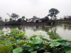 -嬉乐湾休闲旅游区