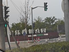 -上海滨江森林公园