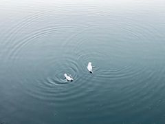 -四海公园(南山区)