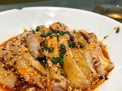 招牌椒麻鸡-姚姚酸菜鱼·金戈戈香港豉油鸡(喜荟城联名店)