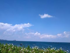-大长山岛