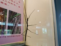 -上海昆虫博物馆
