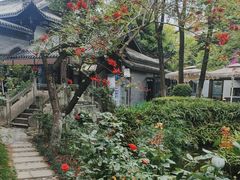 -大妙火锅·非物质文化遗产(东湖公园店)