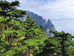 -黄山风景区