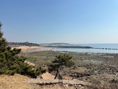 -青岛第二海水浴场