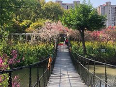 -南汇桃花村