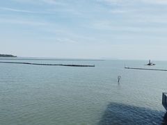 -贡湖湾湿地公园