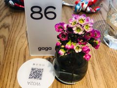 -gaga(深圳南山益田假日广场店)
