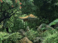 -晓港公园
