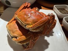 -金枝玉叶上海人家食府(三里河店)