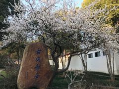 -无锡梅园公园