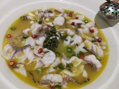 -青花椒花椒鱼(合生汇店)